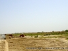 DSC04080