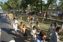 Roadside IDPs running for food