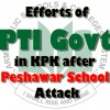Details of Assistance being provided by KPK Govt to APS Victims